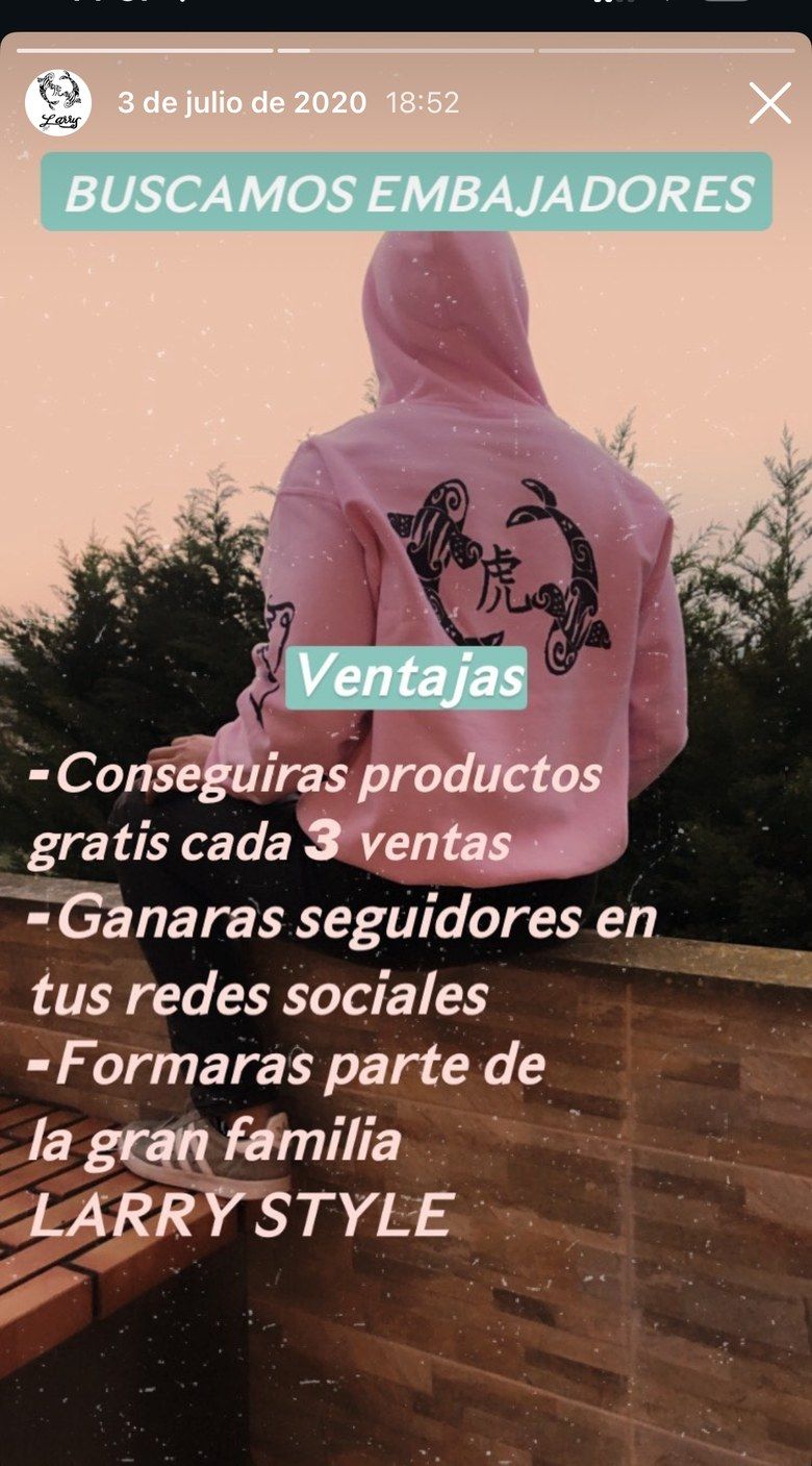 Historia de Instagram de Larry Style del 3 de julio de 2020: Buscamos embajadores, con las ventajas del programa sobre una foto de una sudadera rosa con el logo