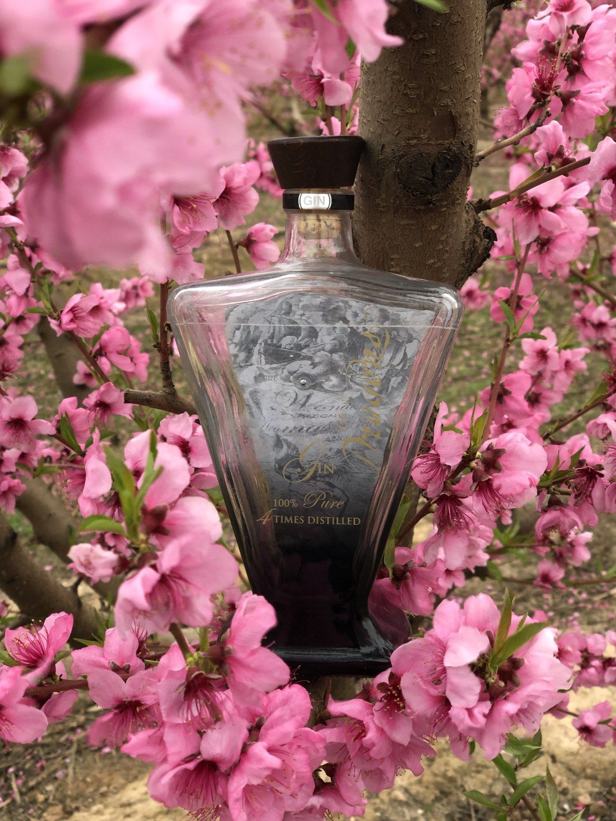 Botella de Port of Dragons colgada entre las flores rosas de un melocotonero en primavera