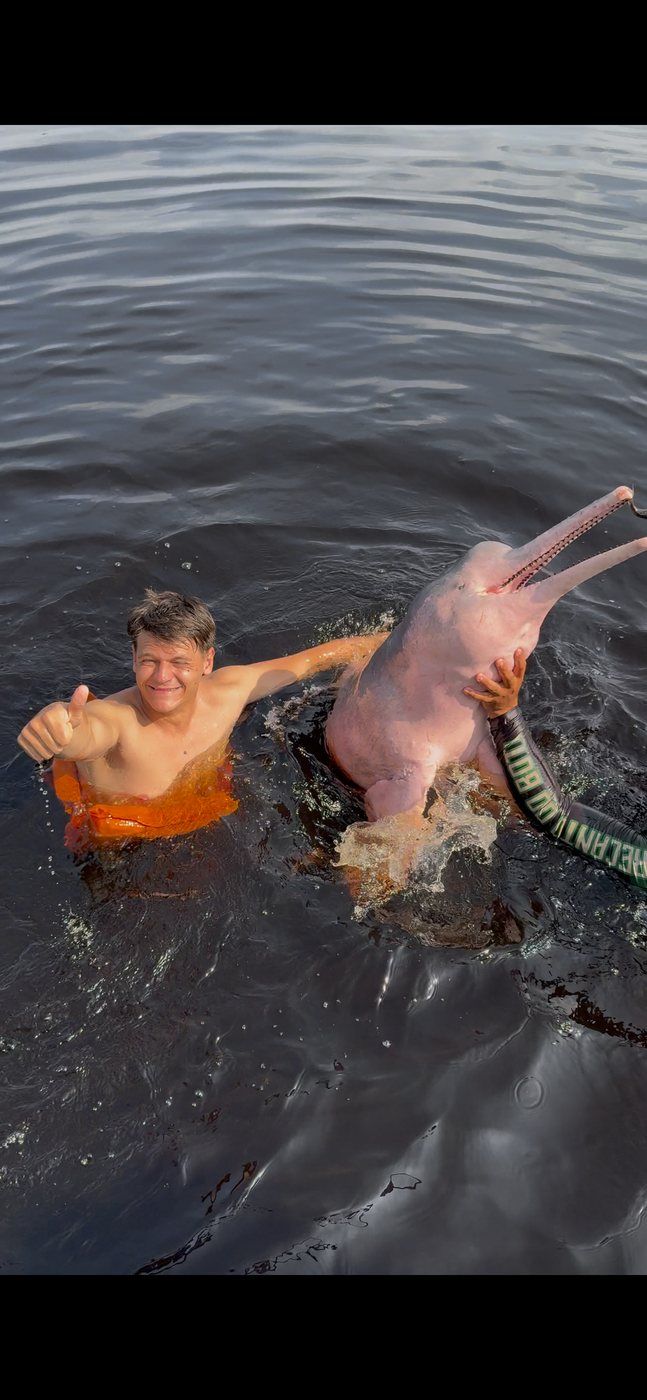 Taras nadando en el río junto a un delfín rosado